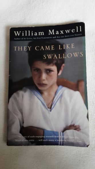 IMG-20170618-WA0003[1]